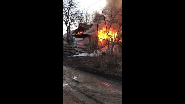 Видео порнуха #72514