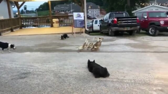 Видео порнуха #111702