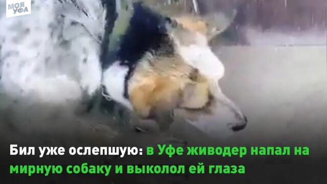 Видео порнуха #137023