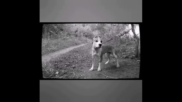 Видео порнуха #62442