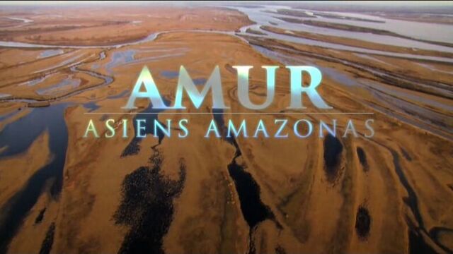 Видео порнуха #28248