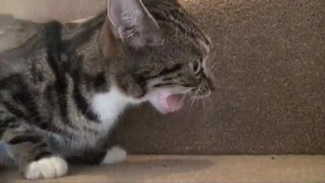 Видео порнуха #163716