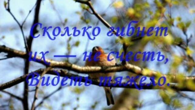 Видео порнуха #3058