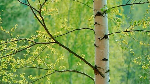 Видео порнуха #38547