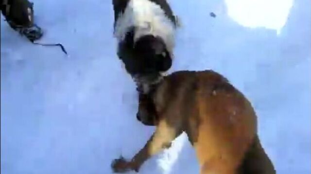 Видео порнуха #3173