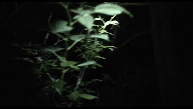 Видео порнуха #166378