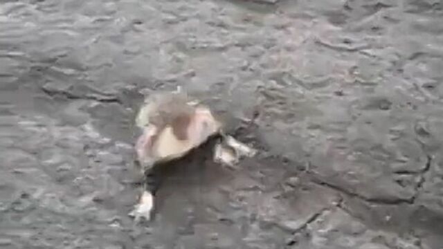 Видео порнуха #3504