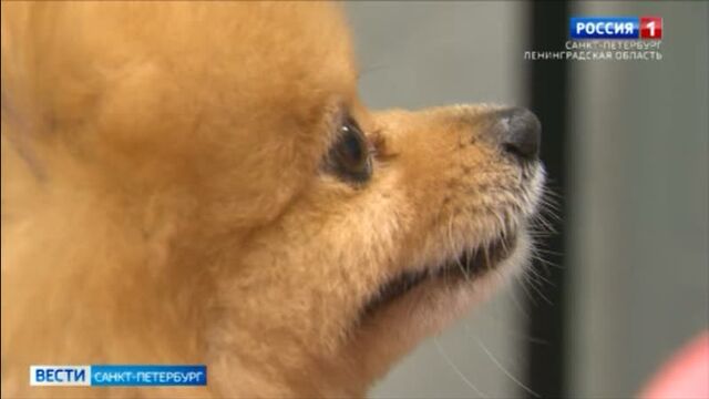 Видео порнуха #77807