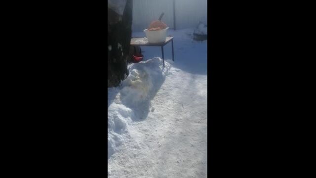 Видео порнуха #70263