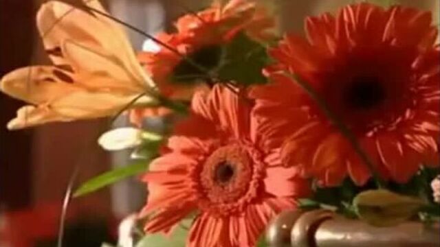 Видео порнуха #476