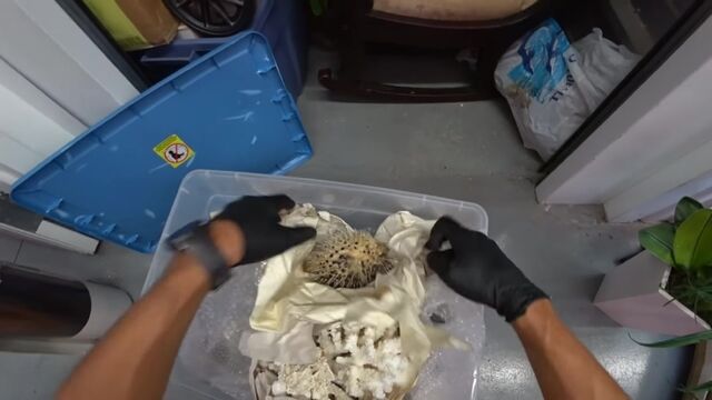 Видео порнуха #171300