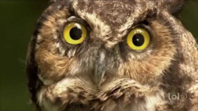 Видео порнуха #126938