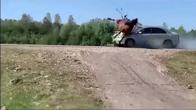 Видео порнуха #74958