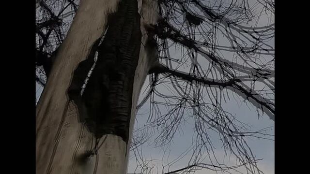 Видео порнуха #56796