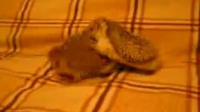 Видео порнуха #6213