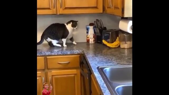 Видео порнуха #78400