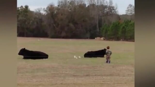 Видео порнуха #129520