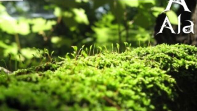 Видео порнуха #6172