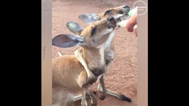 Видео порнуха #125577