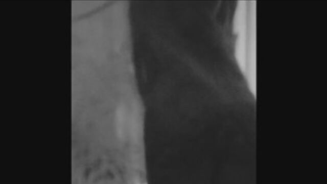 Видео порнуха #112398