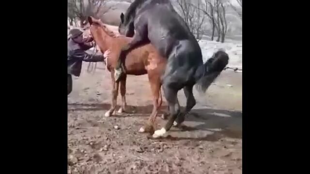 Видео порнуха #49073