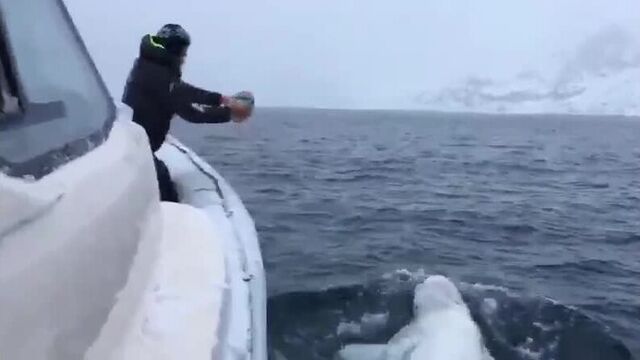 Видео порнуха #48466