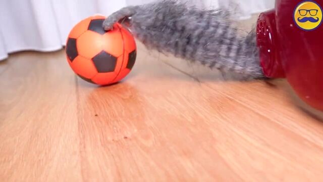 Видео порнуха #168802