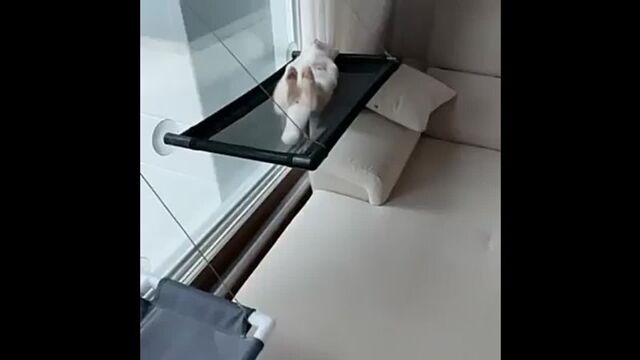 Видео порнуха #78918