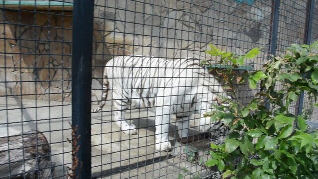 Видео порнуха #36374