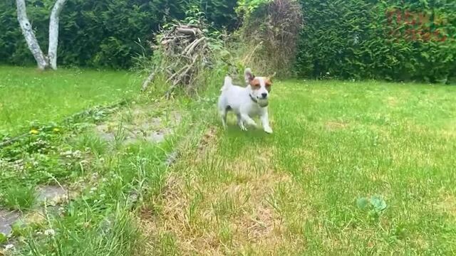 Видео порнуха #76438