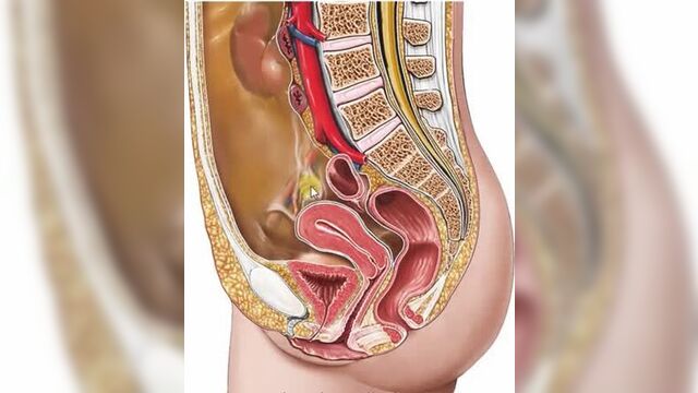 Видео порнуха #42377