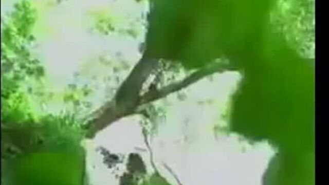 Видео порнуха #643