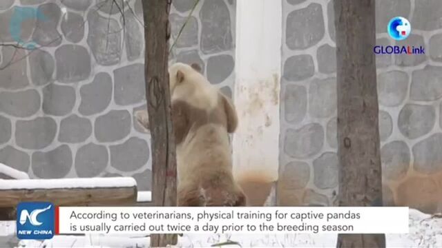 Видео порнуха #180419