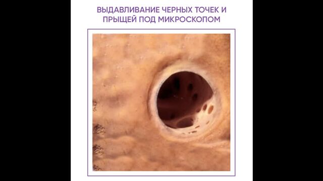 Видео порнуха #62067