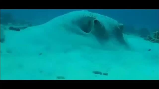 Видео порнуха #96782