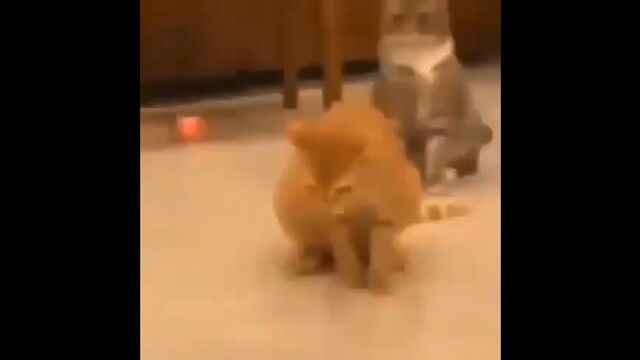 Видео порнуха #121363