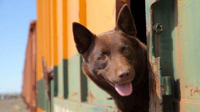 Видео порнуха #113229