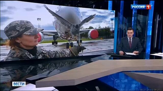 Видео порнуха #72059