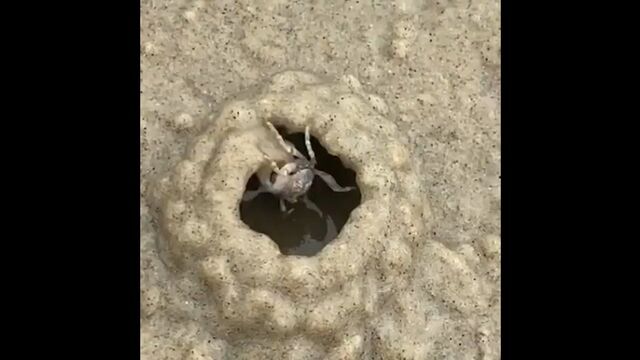 Видео порнуха #182442