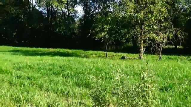 Видео порнуха #79016