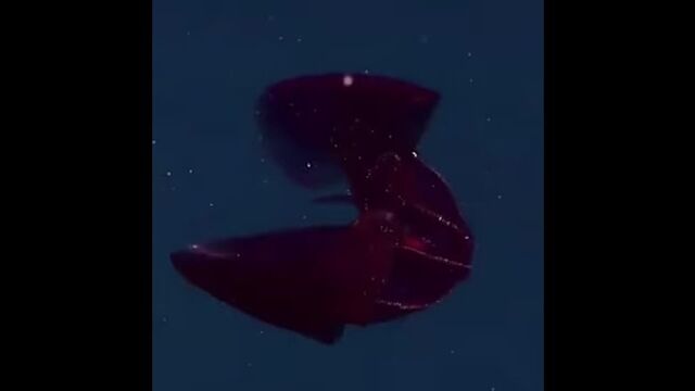 Видео порнуха #84122