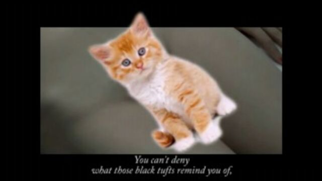 Видео порнуха #5116