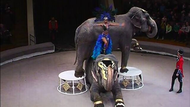 Видео порнуха #31209