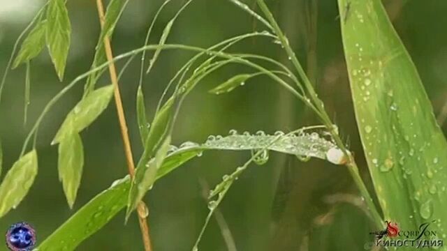 Видео порнуха #75027