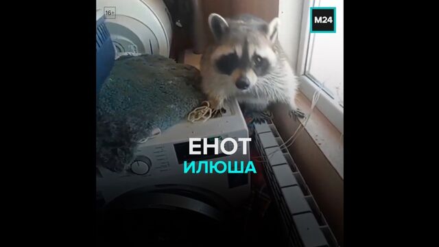 Видео порнуха #144552