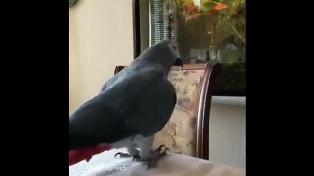 Видео порнуха #157034