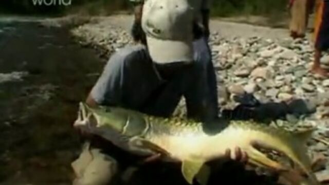 Видео порнуха #110368