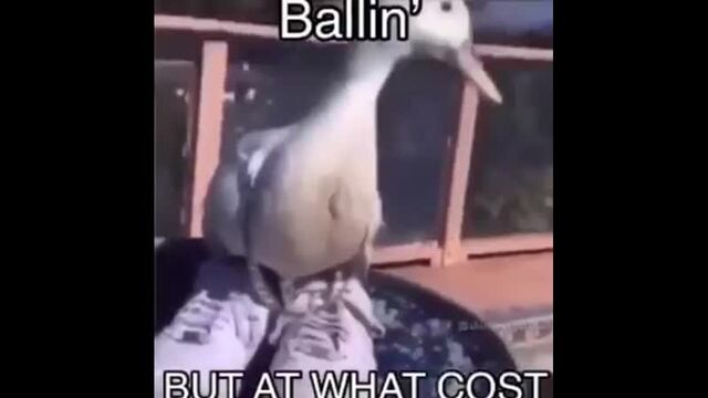 Видео порнуха #69557