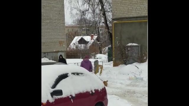 Видео порнуха #163815