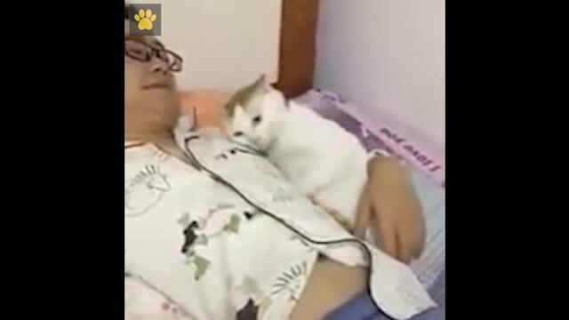 Видео порнуха #191171